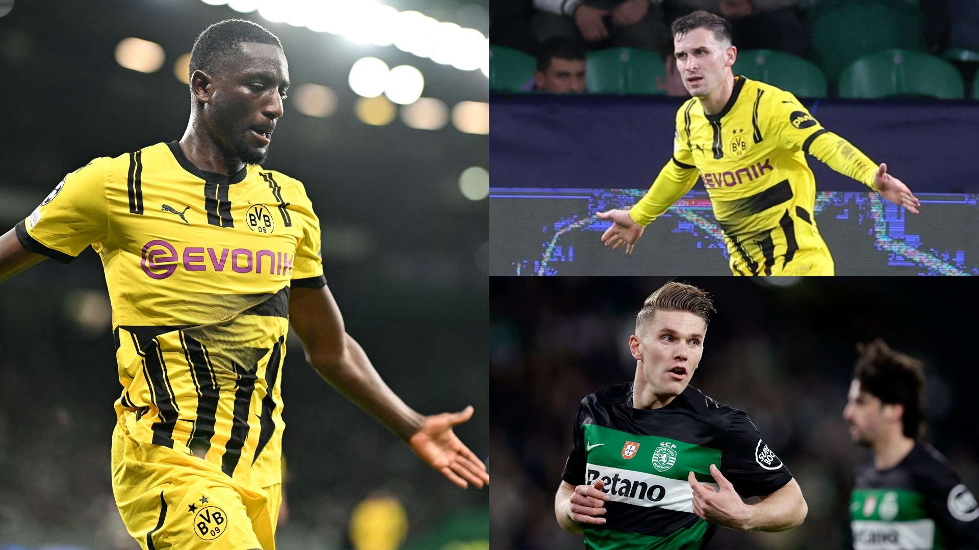 社会的联系 社会的联系